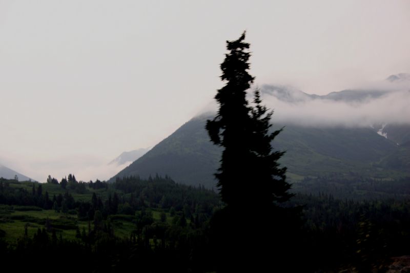 070304 Hope Seward Hope (10037)